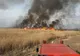 "Plouă" cu funingine peste oraş. Ard şapte hectare de stuf la Malcoci