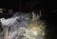 Incendiu în inima deltei, la Mila 23