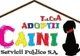 “Sunt salvat! M-au Adoptat!” - episodul şapte!