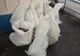 160 kilograme de peşte confiscate de polițiștii de frontieră