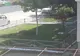 Câinii din Măcin terorizează localnicii. Autoritățile promit că vor lua măsuri!