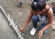 Începe Pelicam, cel mai verde festival de film din România