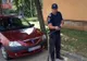 Șarpe lung de aproape 3 metri omorât într-o gospodărie din Peceneaga - Tulcea