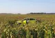 O explozie la anvelopă l-a scos în decor în lanul de floarea soarelui