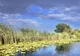 August plin, septembrie promițător în Delta Dunării