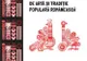 „Baladele Deltei” participă la Festivalul Folcloric de la Otopeni
