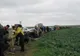 Lizieră de stejari la graniţa dintre cele două judeţe ale Dobrogei