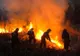(VIDEO) Incendiu de proporţii la Pătlăgeanca, în Delta Dunării: focare dispersate pe 300 de hectare de hectare