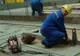 Doi ucraineni prinşi la muncă fără forme legale în Tulcea