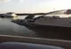 Accidentul naval din Murighiol, s-a produs din cauza unui navigator băut