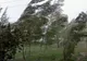 Alertă meteo. Cod galben de vreme severă imediată  în județele Constanța și Tulcea