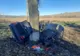 FOTO| Accident teribil în județul Tulcea. Un mort și un rănit