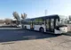 Numărul mijloacelor de transport public se suplimentează în municipiul Tulcea