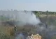 Incendiu la Jurilovca.15 hectare de vegetație uscată, incendiate intenţionat