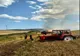 VIDEO|  Lanuri de grâu în flăcări 