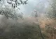 Incendiu violent la Tulcea