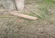 Descoperire explozivă la Luncavița