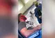 VIDEO Lenjerie intimă în loc de mască de protecție. Revolta unui pasager dat jos din avion