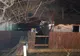 FOTO O femeie a murit carbonizată după ce casa i-a luat foc