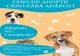 Târg de Adopții câini fără adăpost
