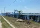 FOTO VIDEO  Incendiu violent în Delta Dunării la Caraorman
