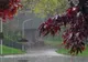 Prognoza meteo 17 septembrie - Cum va fi vremea în România