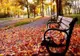 Prognoza meteo sâmbătă, 29 octombrie. Cât de mult vor crește temperaturile