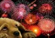 Cum ne ferim cânii și pisicile de șocul exploziilor de artificii. Ce le sperie cel mai rău