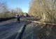 FOTO Copac prăbușit peste un microbuz pe DN 22