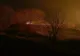 VIDEO Incendiu uriaș în Delta Dunării