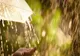 Prognoza meteo 4 iunie. Vremea va fi în general instabilă