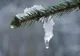 ANM: PROGNOZA METEO PÂNĂ PE 17 FEBRUARIE