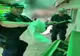 VIDEO Șarpe scos de jandarmi din canapeaua unei familii din Tulcea