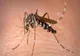 INSP: 78 de cazuri confirmate și 16 probabile de infecție cu virusul West Nile