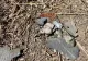 Situația tragică a locuitorilor din Tulcea, unde cad drone rusești pe bandă rulantă. „Nu avem adăposturi pentru situaţii de urgenţă”