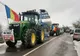 Începe acordarea subvenţiei de 100 de euro pentru agricultură și zootehnie