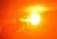 VREMEA 15 AUGUST. ÎNCĂ O ZI CU TEMPERATURI DE FOC ÎN MARE PARTE DIN ȚARĂ