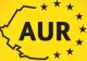 Inițiativă AUR pentru eliminarea turismului electoral la alegerile locale