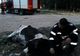 Animal înnămolit la Carcaliu, scos de pompieri