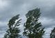 Alertă meteo. Cod galben de vânt în județul Tulcea
