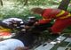 FOTO Constănțeancă accidentată în Munții Măcinului, salvată la limită de pompieri