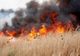 VIDEO Nouă incendii violente de vegetație uscată în Tulcea