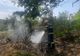 Incendiu de vegetație în Măgurele , izbucnit din cauza unei țigări