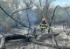 VIDEO Incendiu violent în pădurea  Bididia 